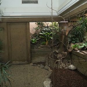 Bird House - Mixed Asian aviary