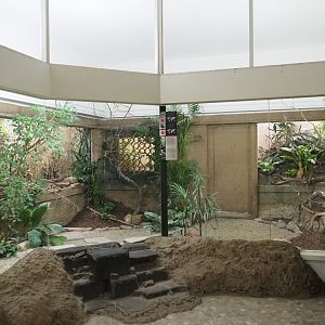 Bird House - Mixed Asian aviary