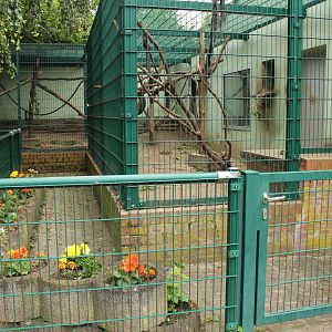 Moor Macaque cage, Tierpark Limbach-Oberfrohna