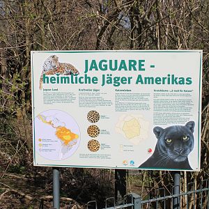 Info-sign Jaguar