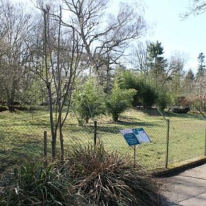 Red-crowned crane enclosure