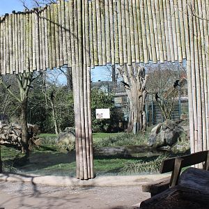 Sumatran tiger-enclosure - empty
