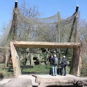 Jaguar-enclosure