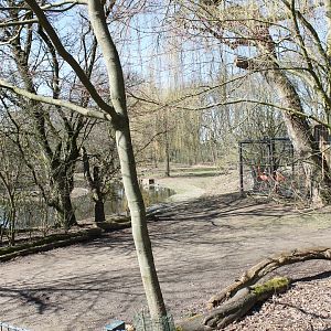Flamingo and waterfowl-pond