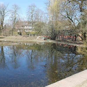 Flamingo and waterfowl-enclosure