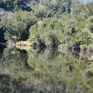 Reflections in pool.