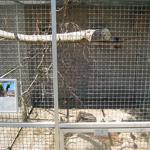 Frydenlund Fuglepark - Parrot aviary #15