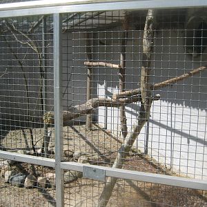 Frydenlund Fuglepark - Parrot aviary #18