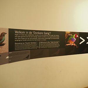 Welcome to the dark corridor sign