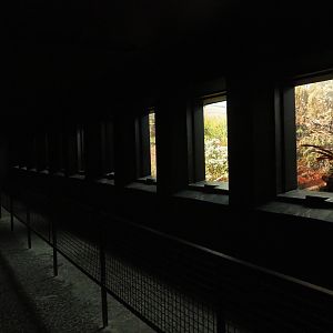Bird House - Dark corridor - Antwerp cage system