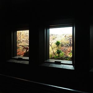 Bird House - Dark corridor - Antwerp cage system