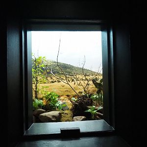 Bird House - Dark corridor - Antwerp cage system  - Example of an alcove