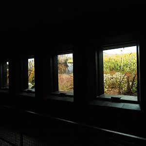 Bird House - Dark corridor - Antwerp cage system