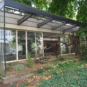 Outdoor aviary Mexican military macaws
