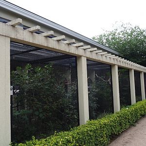 Bird House - Row of outdoor aviaries