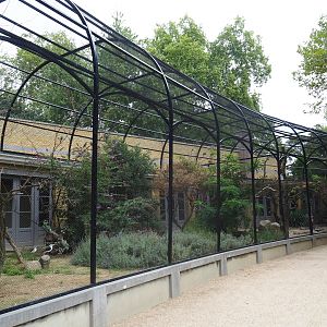 Mixed Mediterranean aviary