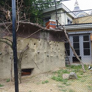 Mixed Mediterranean aviary - Rock with bee-eater nesting hole and tortoise cave