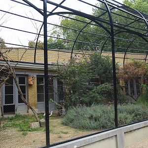 Mixed Mediterranean aviary