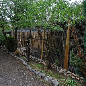 New kea enclosure