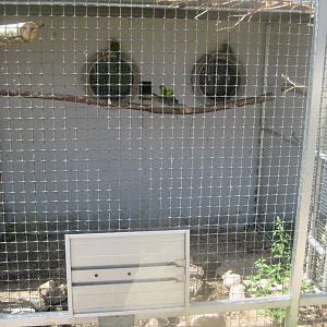 Frydenlund Fuglepark - Parrot aviary #21
