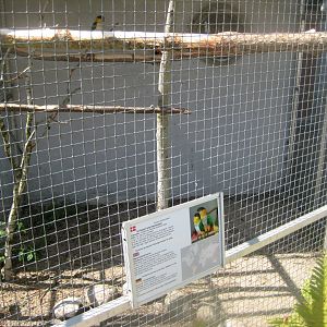 Frydenlund Fuglepark - Parrot aviary #22