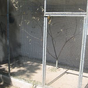 Frydenlund Fuglepark - Parrot aviary #23