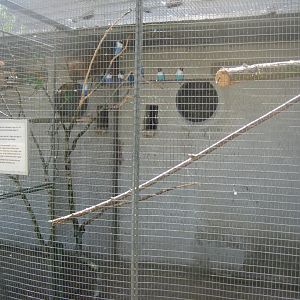 Frydenlund Fuglepark - Parrot aviary #24