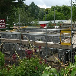 Meerkat development, August 2018