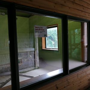 Empty pygmy slow loris exhibit, August 2018