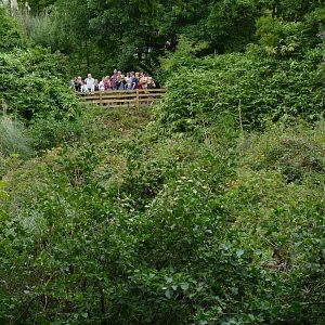 Zoo visitors, August 2018
