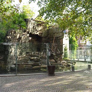 First mandrill enclosure