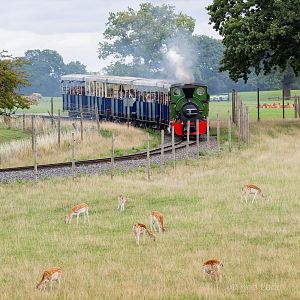 Passage through Asia; Jumbo Express : Whipsnade : 27 Aug 2018