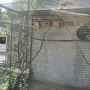 Frydenlund Fuglepark - Parrot aviary #25