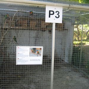 Frydenlund Fuglepark - Parrot aviary #26