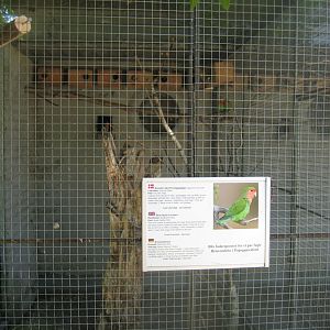 Frydenlund Fuglepark - Parrot aviary #27