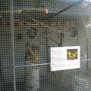 Frydenlund Fuglepark - Parrot aviary #28
