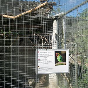 Frydenlund Fuglepark - Parrot aviary #29