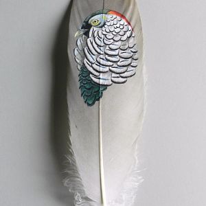 Lady Amherst Pheasant on feather