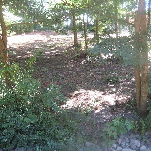 Frydenlund Fuglepark - Snowy goose exhibit