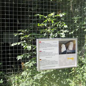 Frydenlund Fuglepark - Ural owl aviary
