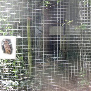 Frydenlund Fuglepark - Eurasian eagle owl aviary
