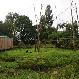 Lar Gibbon Enclosure at Spaycific'Zoo, 13/06/18