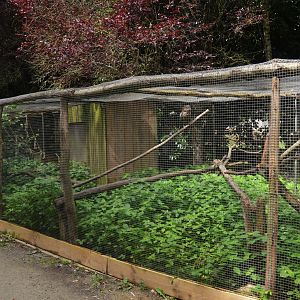 Kea Enclosure at Spaycific'Zoo, 13/06/18