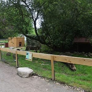 Indian Porcupine Enclosure at Spaycific'Zoo, 13/06/18