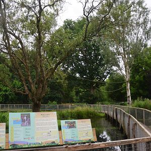 Lemur Walkthrough at Spaycific'Zoo, 13/06/18