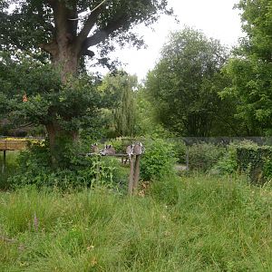 Lemur Walkthrough at Spaycific'Zoo, 13/06/18