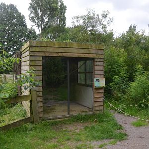 Kinkajou Enclosure at Spaycific'Zoo, 13/06/18
