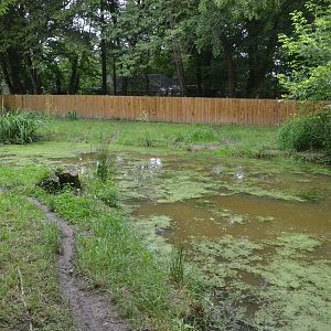 Canadian Enclosure at Spaycific'Zoo, 13/06/18