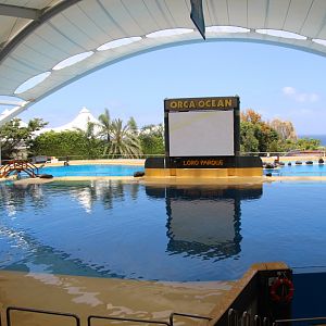 Loro Parque 2018 - Orca Ocean