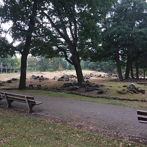 Closed Emmen Zoo in 2018 - Old savannah